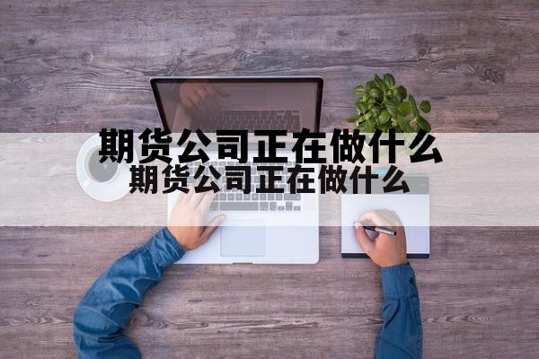期货公司正在做什么 期货公司干什么 期货公司正在做什么 期货公司干什么