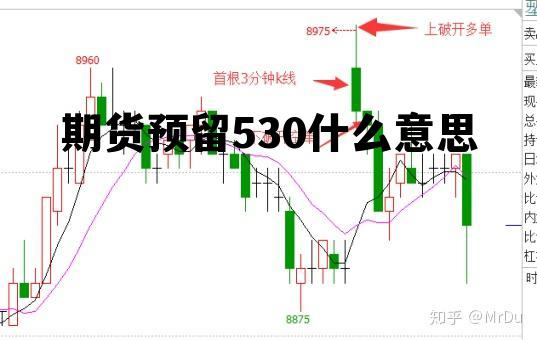 期货预留530什么意思的简单介绍
